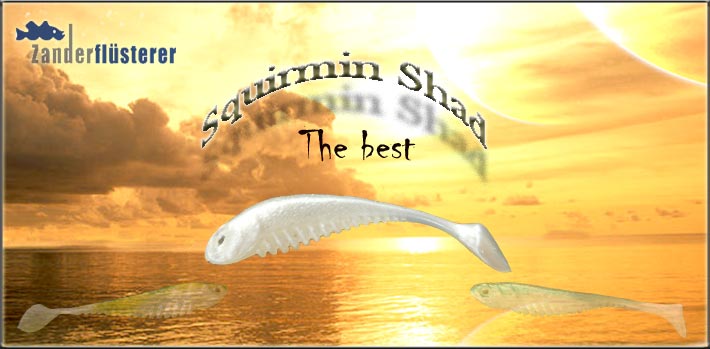 Squirmin Shad